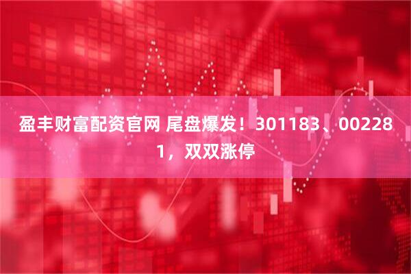 盈丰财富配资官网 尾盘爆发！301183、002281，双双涨停